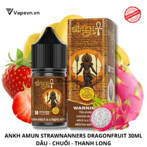 SALTNIC-ANKH-AMUN-30ML-VAPHALLA-VAPEVN