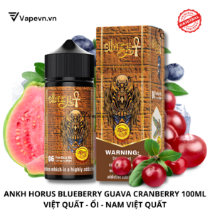 SALTNIC-ANKH-HORUS-100ML-VAPHALLA-VAPEVN