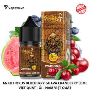 SALTNIC-ANKH-HORUS-30ML-VAPHALLA-VAPEVN