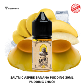 Tinh dầu salt nic SALTNIC ASPIRE BANANA PUDDING 30ML pod system vũng tàu, vape box vũng tàu, thuốc lá điện tử