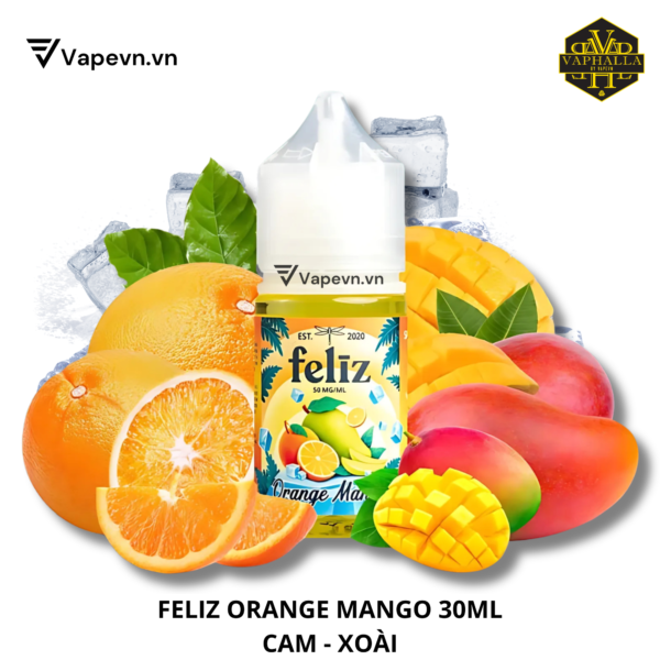 SALTNIC FELIZ ORANGE MANGO 30ML