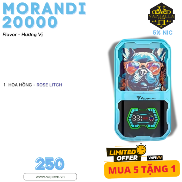 DISPOSABLE MORANDI 20000 PUFF