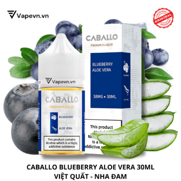 SALTNIC CABALLO BLUEBERRY ALOE VERA 30ML