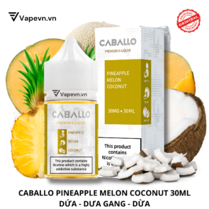 SALTNIC CABALLO PINEAPPLE MELON COCONUT 30ML