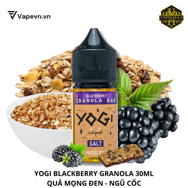 SALTNIC YOGI GRANOLA BLACKBERRY 30ML