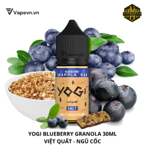 SALTNIC YOGI GRANOLA BLUEBERRY 30ML